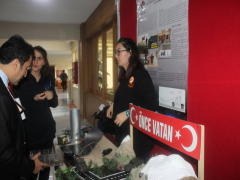 Evrensel Kolej